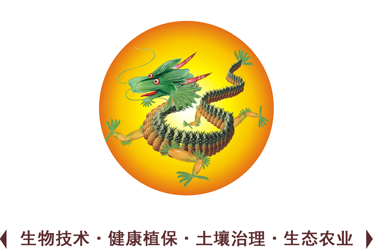 这是描述信息 这是描述信息