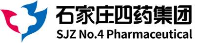 BOB.com
