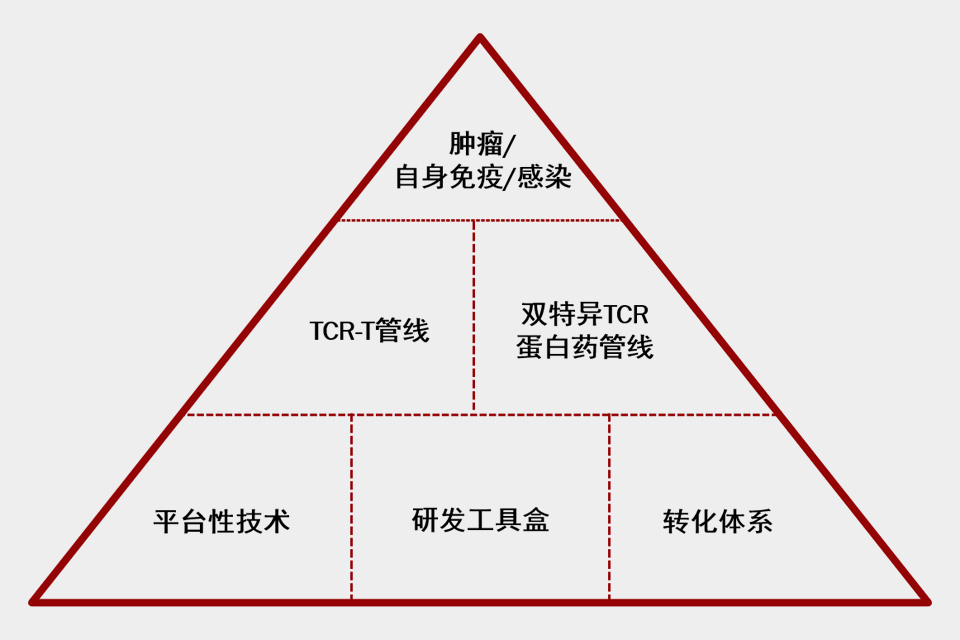 这是描述信息