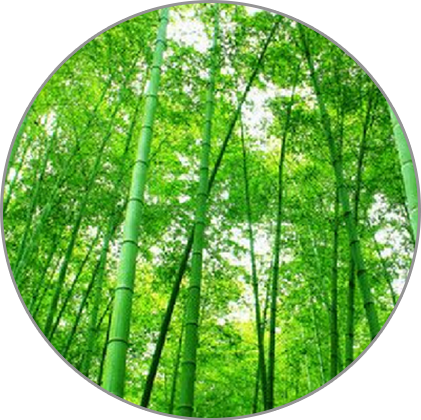貴州森環活性炭有限公司