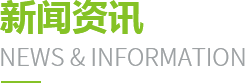 新聞資訊