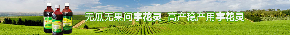 宇花靈科技