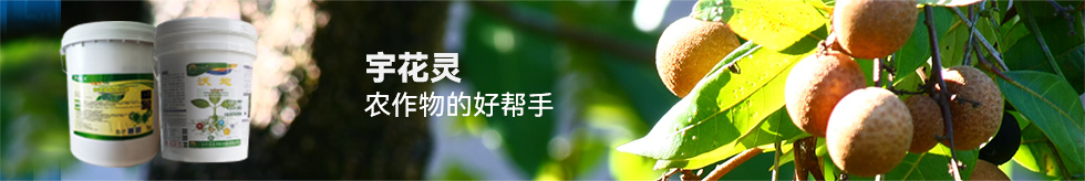 宇花靈科技