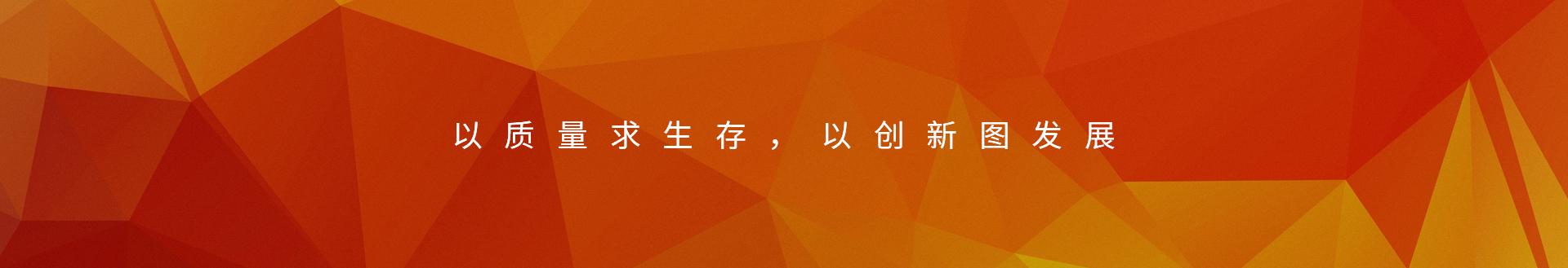 質量求生存 質量求生存