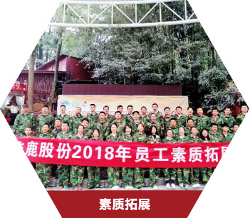企业文化