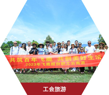 企业文化