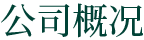 公司概況