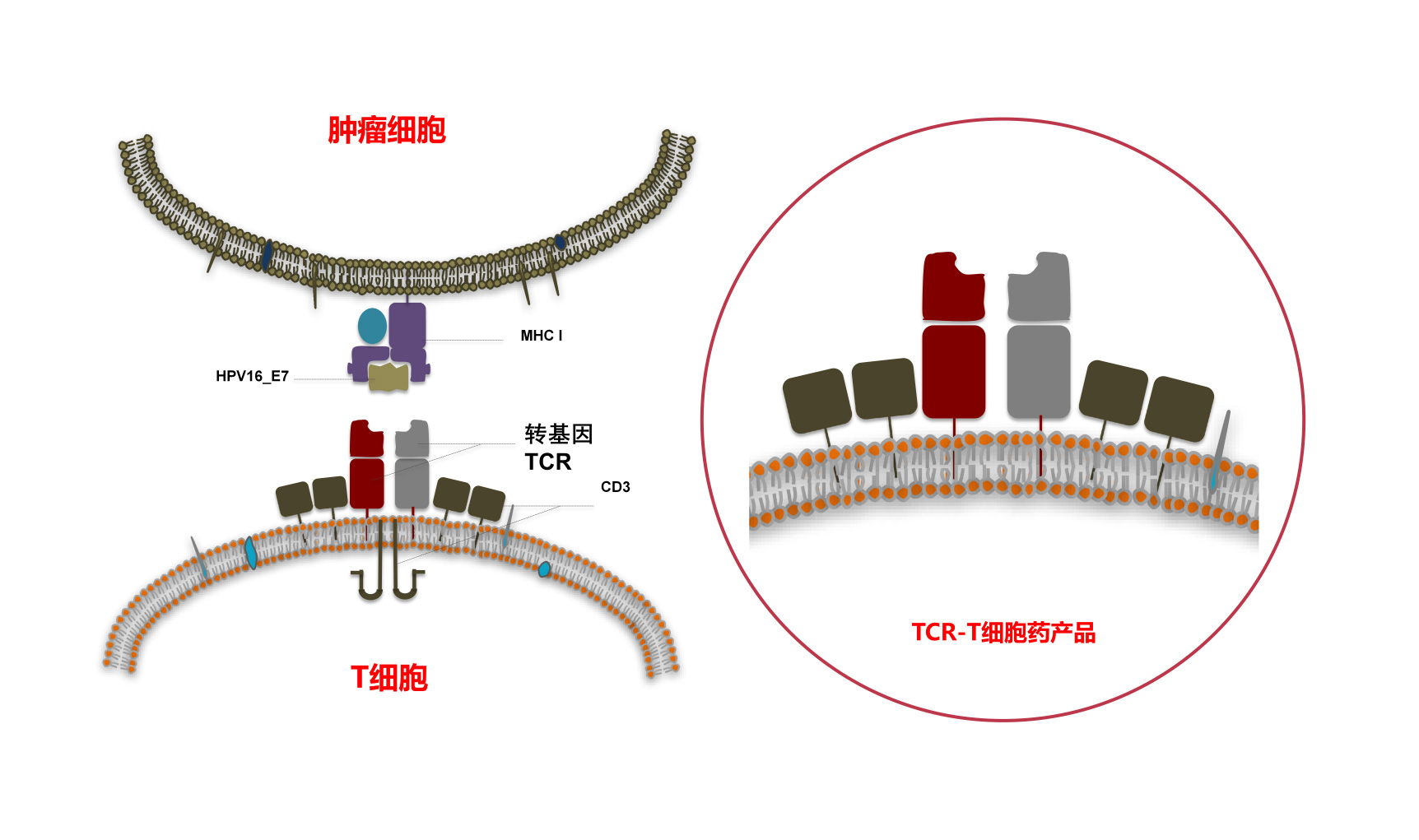 這是描述信息 這是描述信息