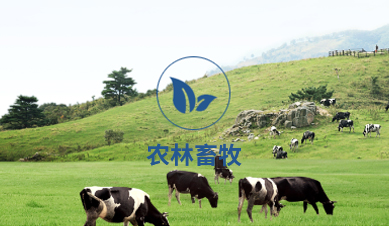 這是描述信息 這是描述信息