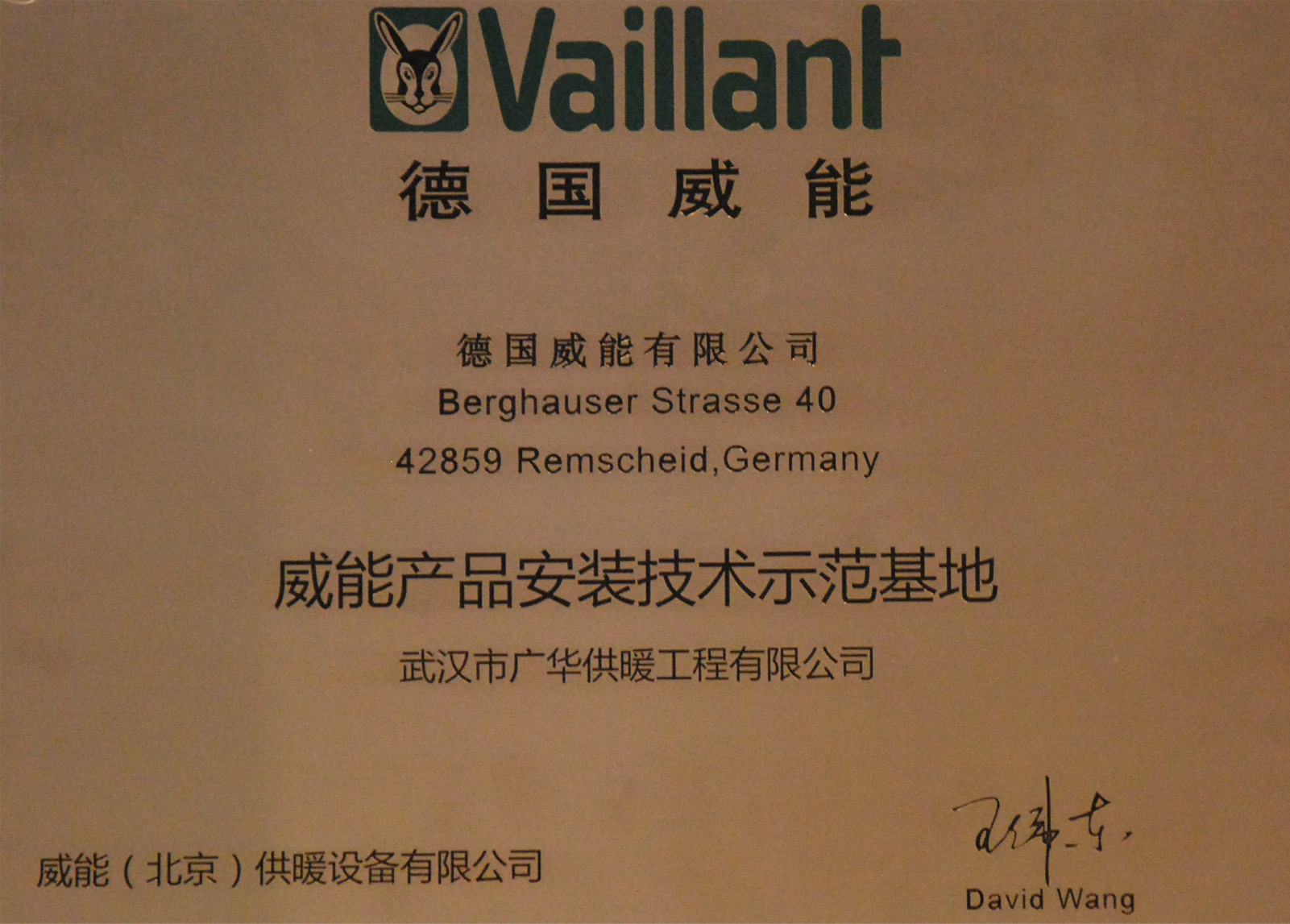 案例展示