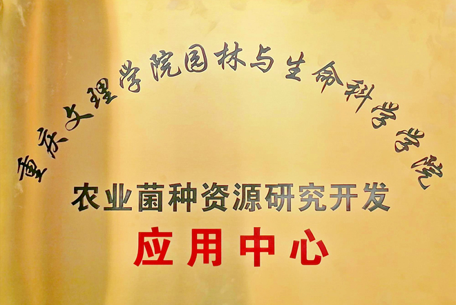 科研 科研