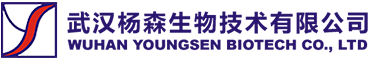 武漢楊森生物技術有限公司