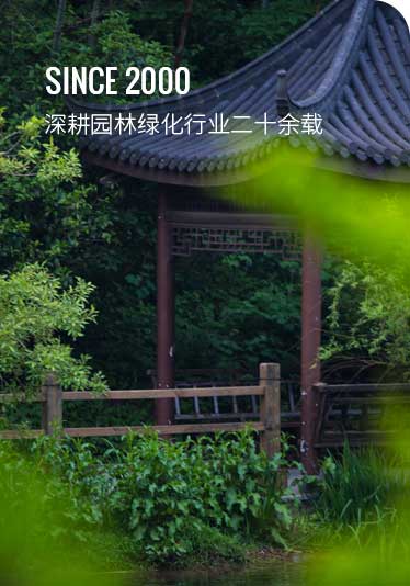 這是描述信息