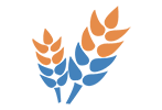 化工與農(nóng)藥