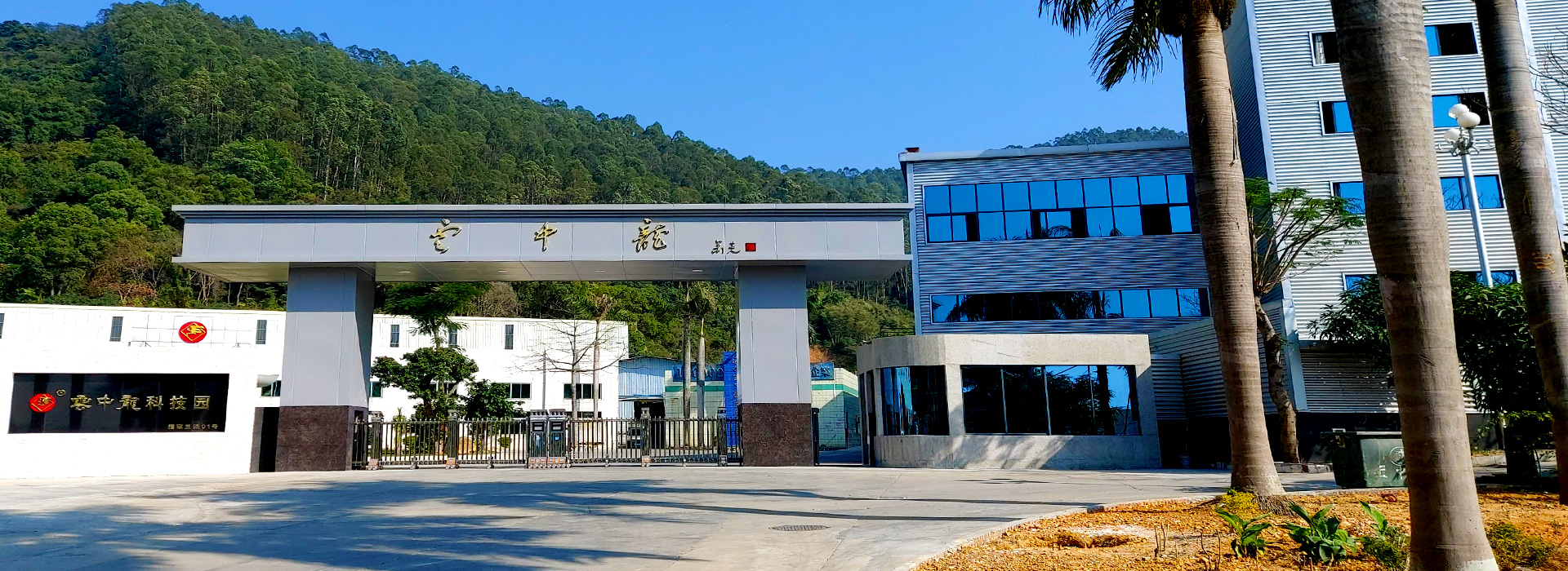 云中龍