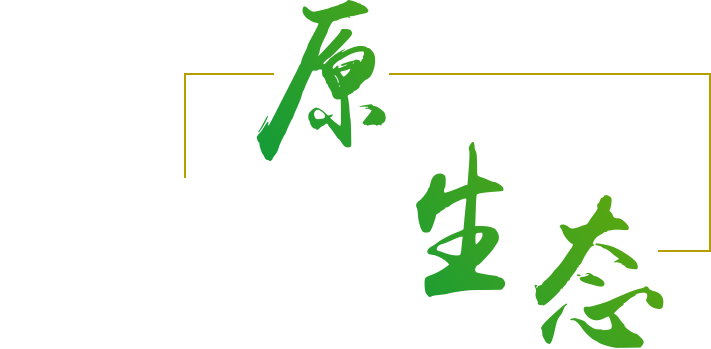 江河源