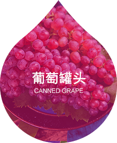 雨蝶