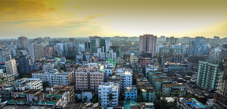 Bihong Bihong