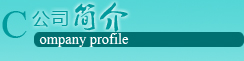 公司簡介 公司簡介