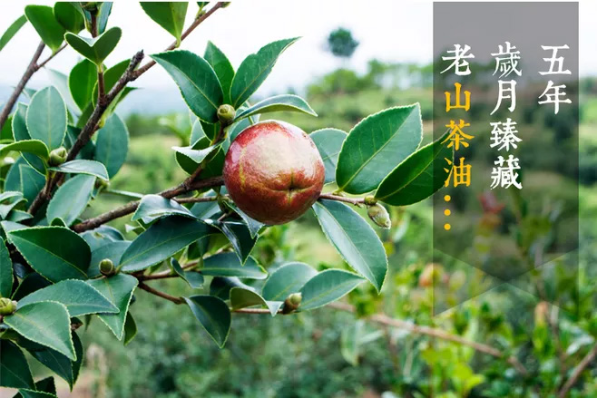 走進(jìn)多韻農(nóng)