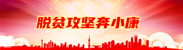 这是描述信息 这是描述信息