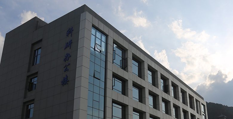 企業(yè)優(yōu)勢 企業(yè)優(yōu)勢