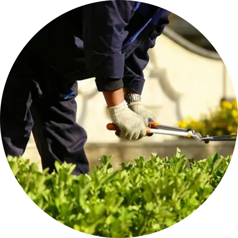 恒茂物業 恒茂物業