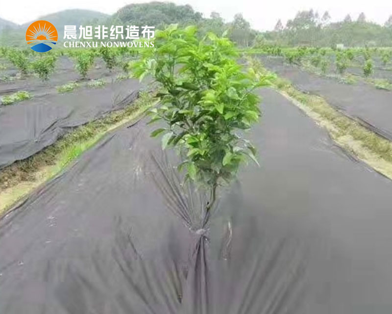 防草布使用注意事項 img