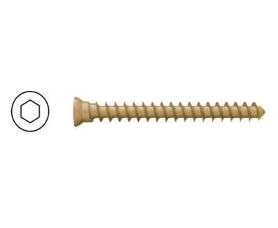 直徑 4.0mm 松質骨螺釘 ( 低帽 )( 全牙 )