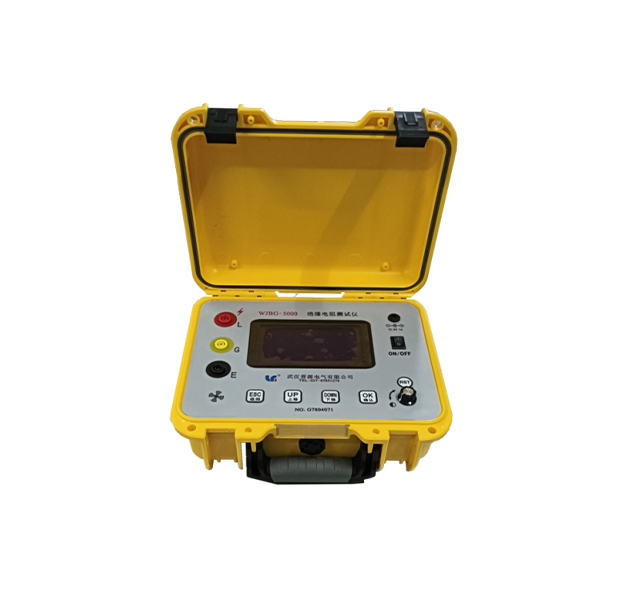 WJBG-5000 Insulation Resistance Tester