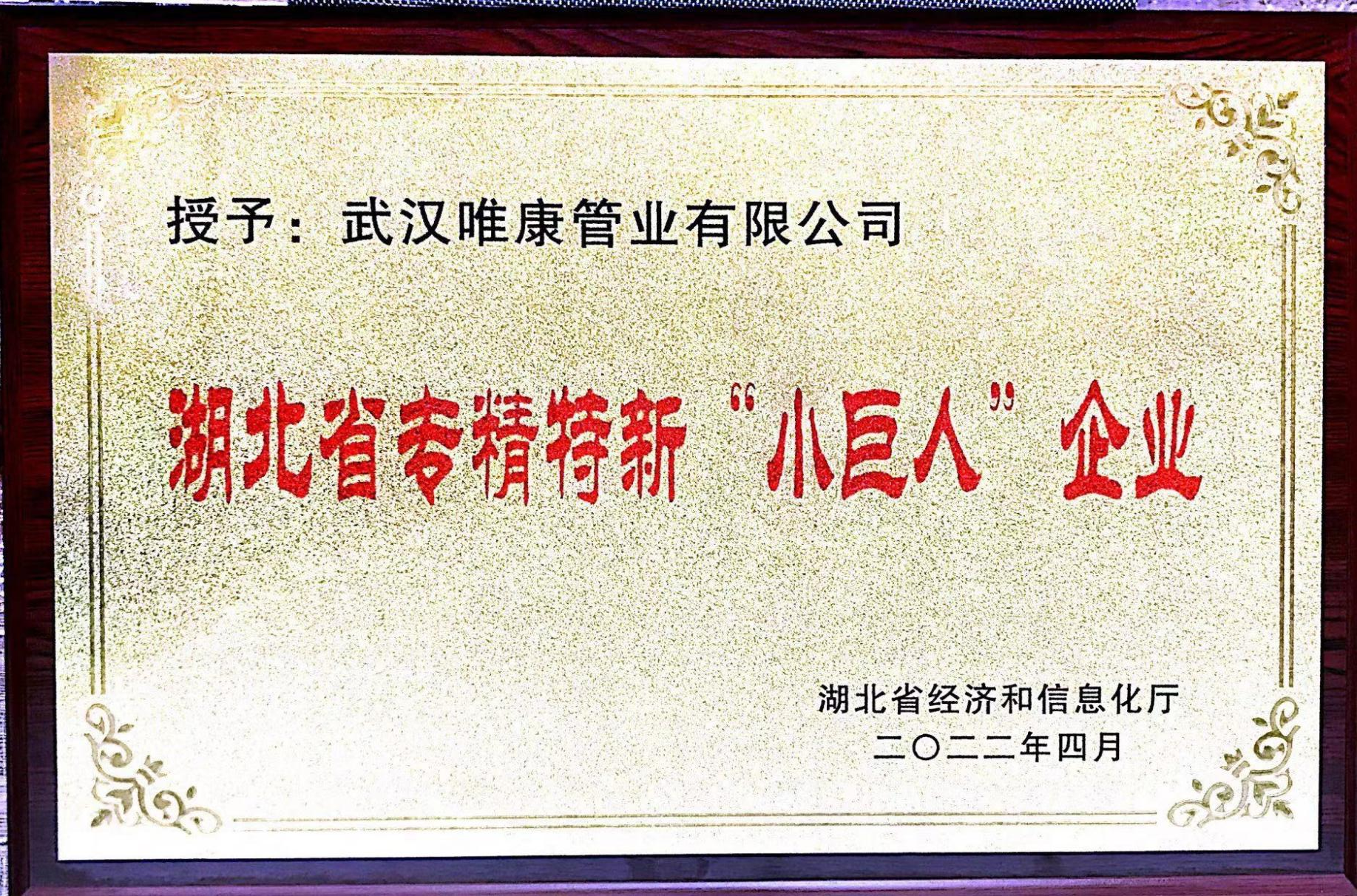 湖北省專精特新“小巨人”企業(yè)