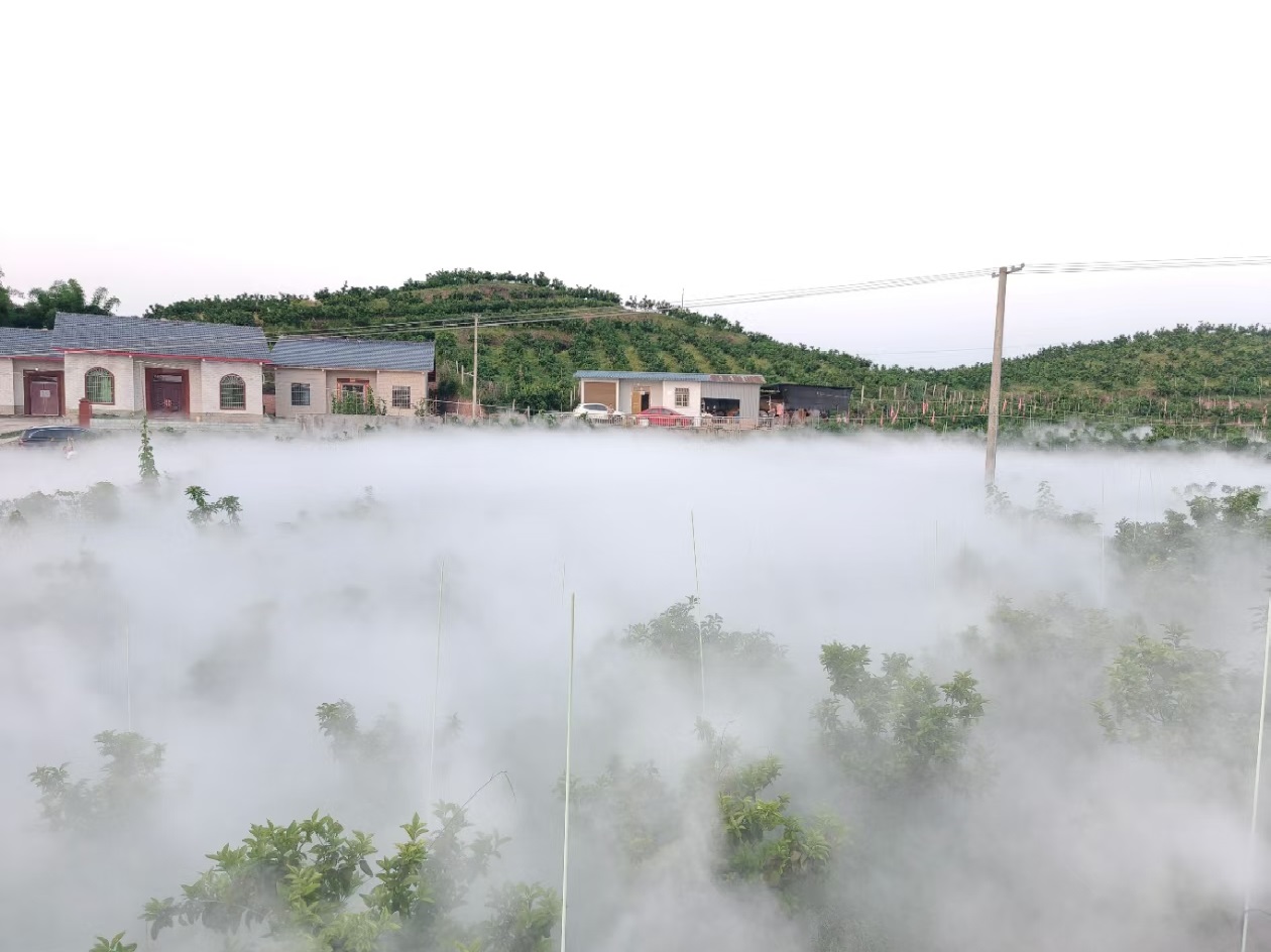果園打藥噴霧系統(tǒng)