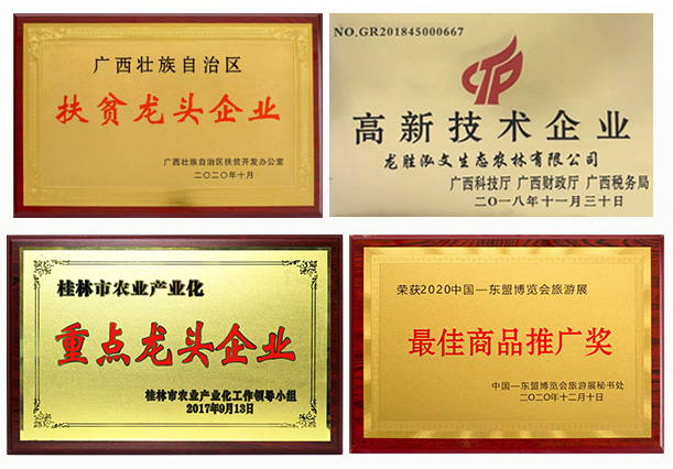 龙胜弘文