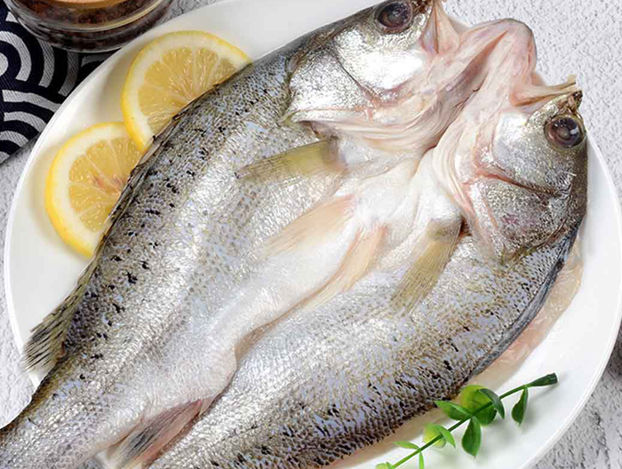 有機海鱸魚的養殖技術 有機海鱸魚的養殖技術
