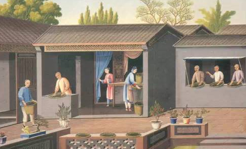 中國(guó)茶葉的歷史