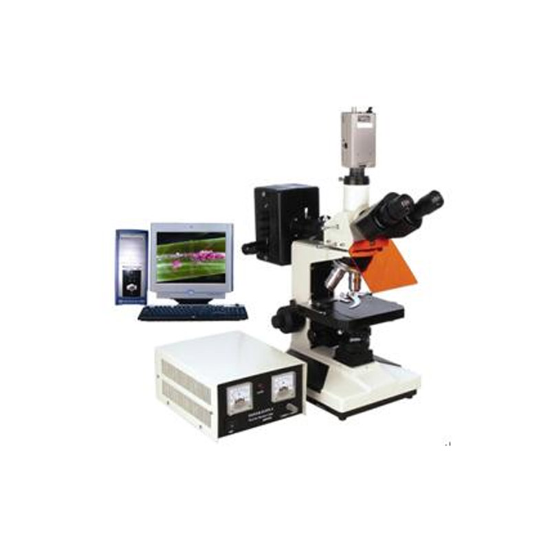数码型荧光显微镜BFM-330系列