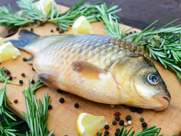 多久吃一次魚最好？答案是……