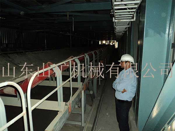 Belt Conveyors for Export to India