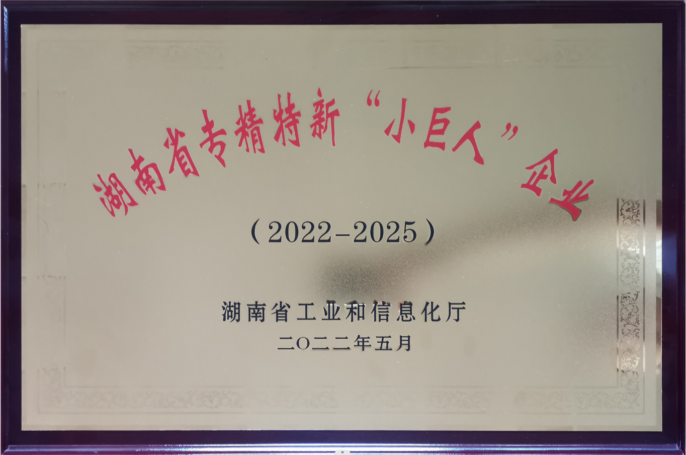 湖南省小巨人企業(yè)
