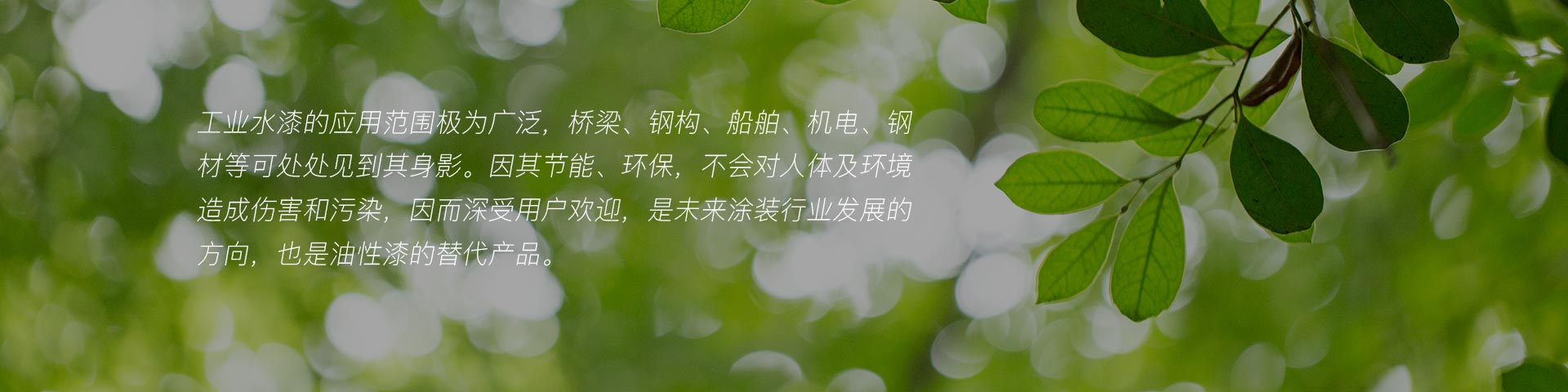 工業(yè)水漆 工業(yè)水漆