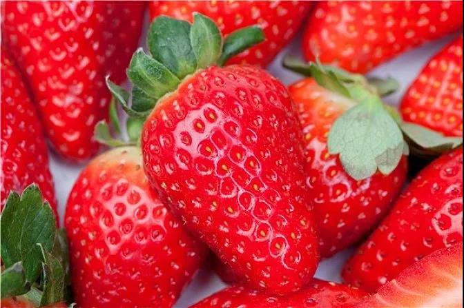 怎樣使草莓既好看又好吃？價格還一路飆升？
