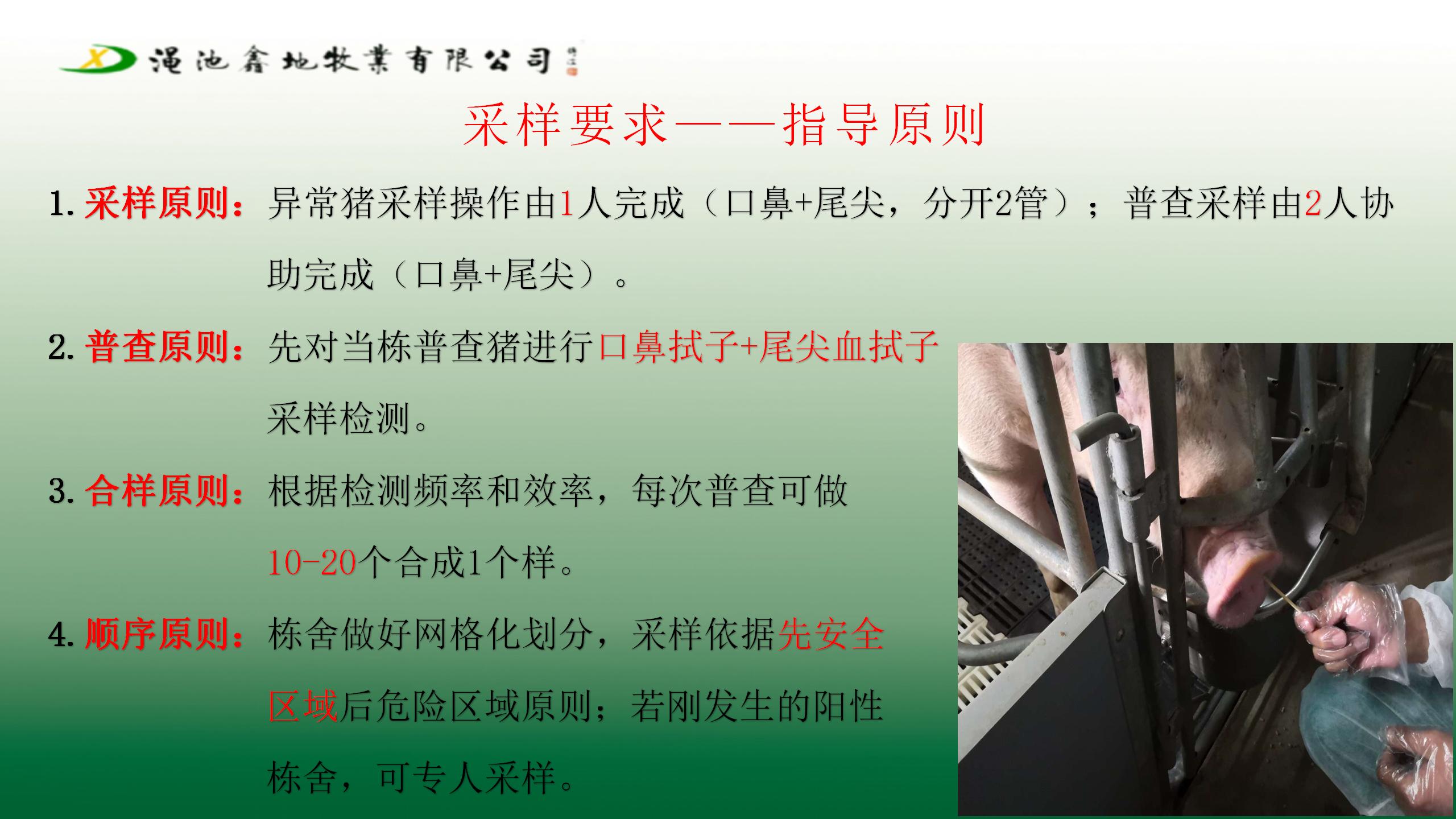 采樣檢測製度及方案（第一版）