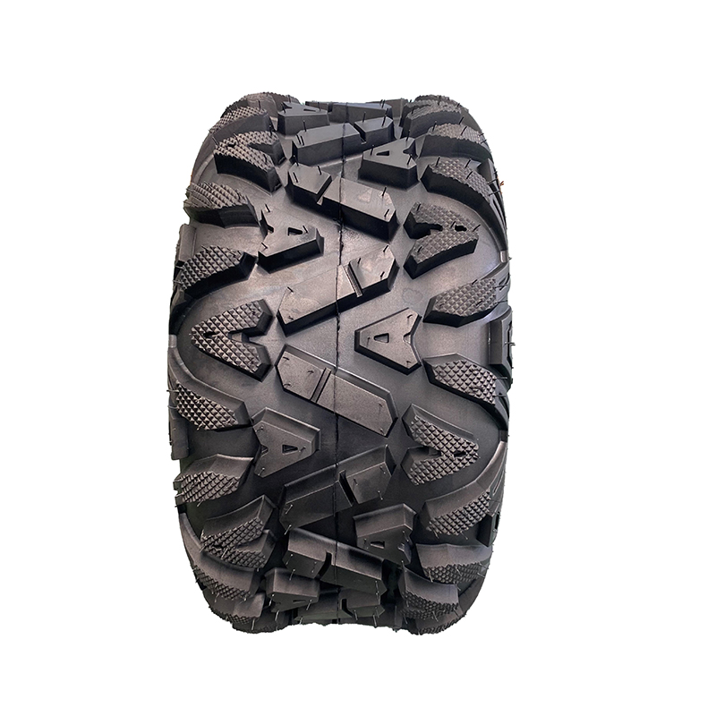 20x10-9A蘤(hua)