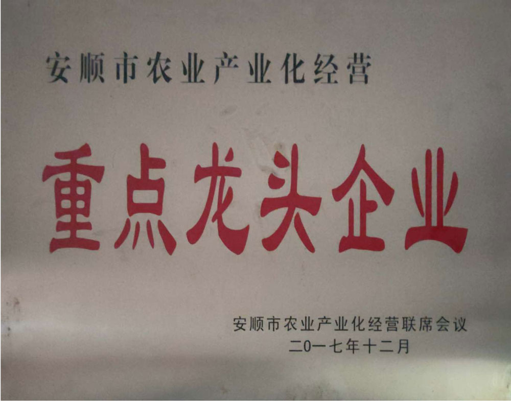 圖片7