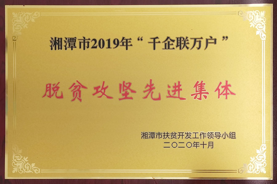 脫貧攻堅先進集體