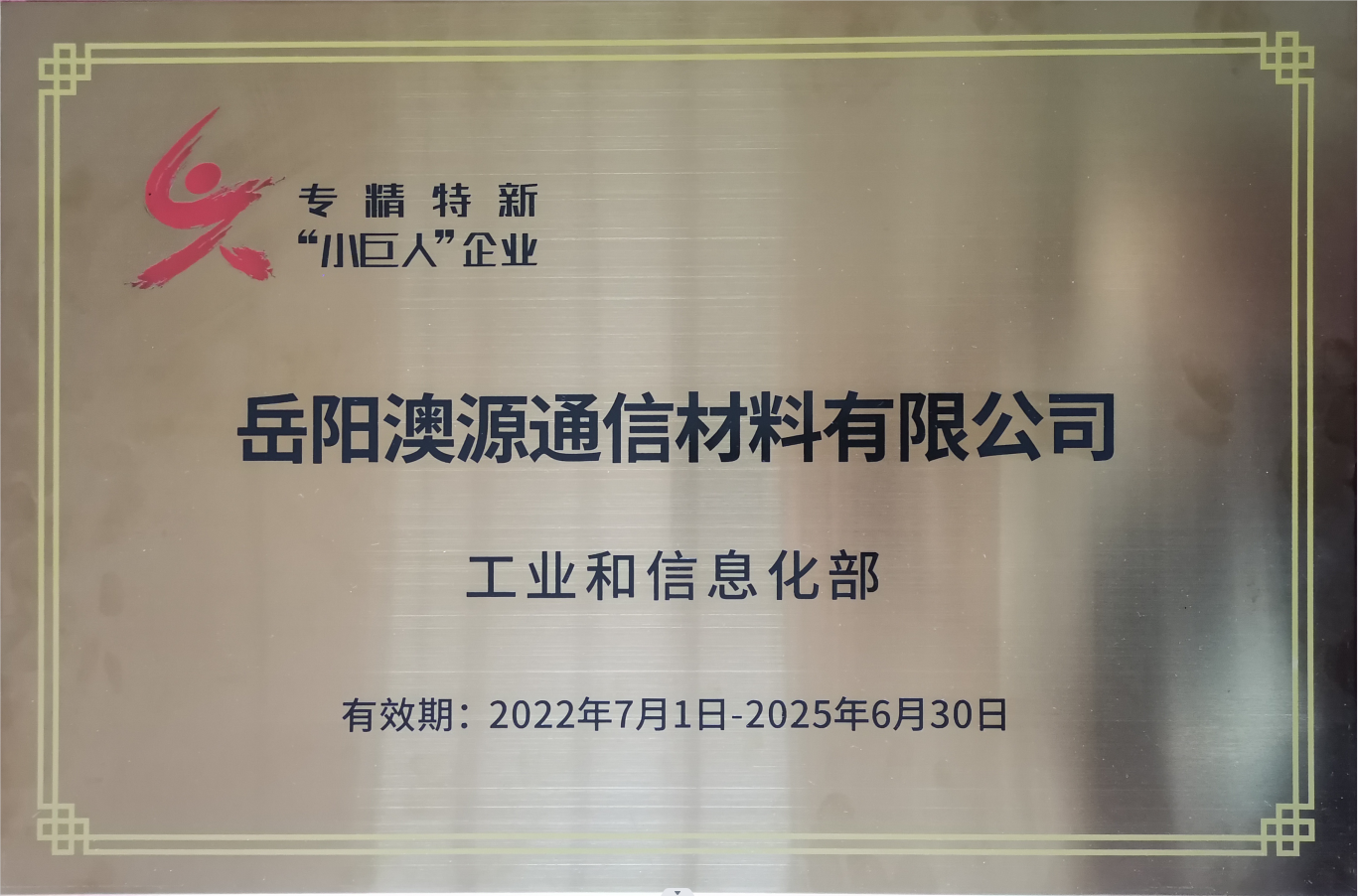 國家小巨人企業(yè)