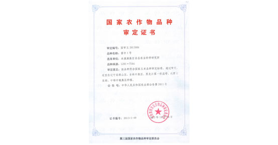 公司第一個國審玉米品種“富爾1號”