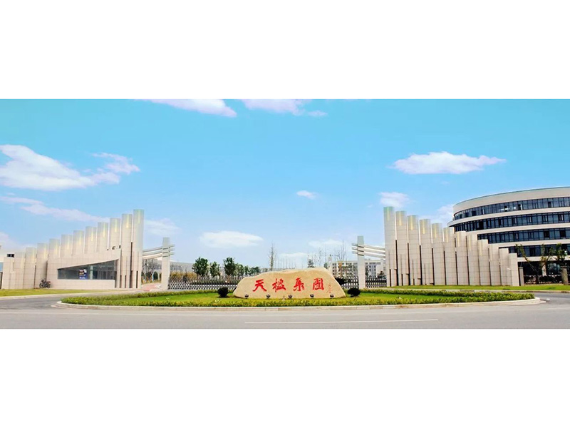 南通天楹集團電廠電氣系統保護定值計算