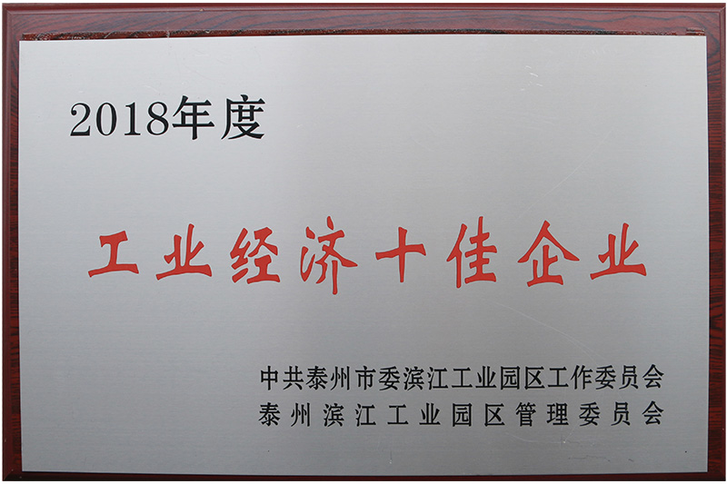 2018年工业经济十佳企业
