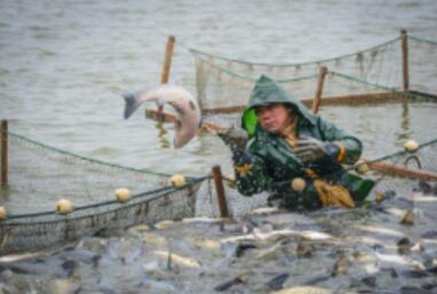 水產